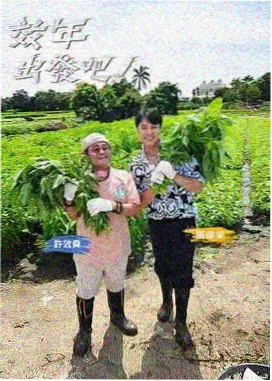 百度综艺 在线 向往的生活